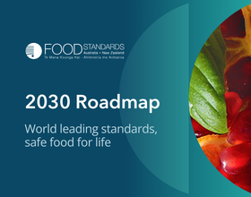 Image of the 2030 Roadmap front cover