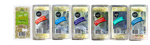 Seven containers of alfalfa sprouts labelled with Aussie Sprouts or Hugo's Sprouts