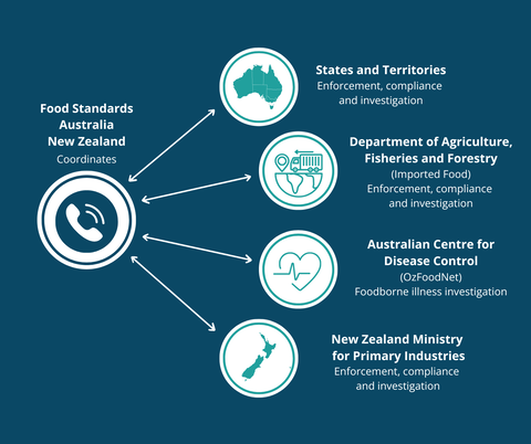 Diagram showing Food Standards Australia New Zealand coordinating food enforcement and investigation across Australia and New Zealand agencies.