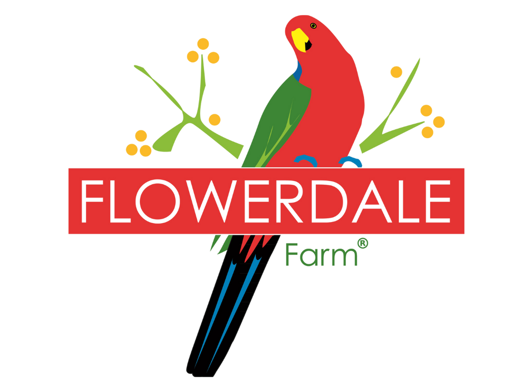 Flowerdale Farm - various alfalfa sprout products