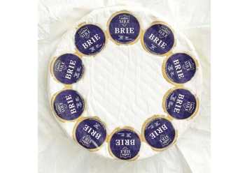 White mould wrapped cheese